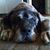 Kathy Wilson's profile image