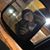 Joel KappaBro Zuercher's profile image
