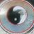 Tommy D Hutchens's profile image