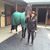 Terri Bayer Hulse's profile image