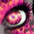 Stephanie Stemler's profile image