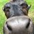 Michele McMahon's profile image