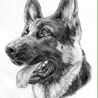 Thor Davey's profile image