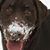 Terri Lee Dungan Froman's profile image