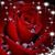 Nanette Johnson Martin's profile image