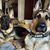 Samantha Warren-Anderson's profile image