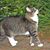 Kathleen Potter's profile image