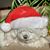 Bev Jaszczurowski's profile image