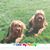 Kathy Magar's profile image