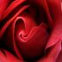 Sharon B.'s profile image