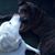 Mary Lawless's profile image