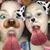 Shelby Lemmon's profile image