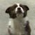 Noel Houze's profile image