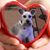 Gloria Mulrooney's profile image