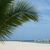 Rowena Brach's profile image