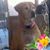 Vera Brooks's profile image