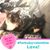 Jodi Muroff Goulding's profile image