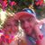Danny Tabala's profile image