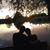 Lily Sandu's profile image
