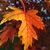 Richa' Smith Grunden's profile image