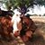 Maya Gottfried's profile image