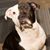 Laina Frank Phillips's profile image