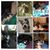 Leigh Ann Moore's profile image
