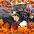 Johnny Brinson's profile image