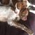 Paul Paulette Adamson's profile image