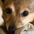 Holly Lawder's profile image