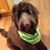 Patty Jewell's profile image