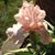 Arleen Forczak's profile image