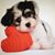 Tiffany Wurao's profile image