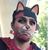 Pete Salais's profile image