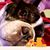 Liz Gradek's profile image