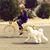 Emily Green's profile image