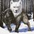 Gregg Anderson's profile image