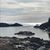 Eduarda Hallowell's profile image