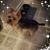 Mary Jo Billas Ochs's profile image
