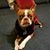 Cathy Chappell Edminster's profile image