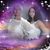 Pina Gilio's profile image