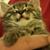 Gregory Johnson's profile image