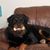 Wendy Cook's profile image