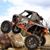 Michelle Randall's profile image