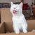 Paula Flohr's profile image