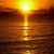 Kathleen Simmons's profile image