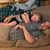 Rita Owsley's profile image