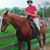 Ginny Leeman's profile image