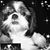 Linda Meche's profile image