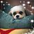 Jean Schroeder Hanks's profile image